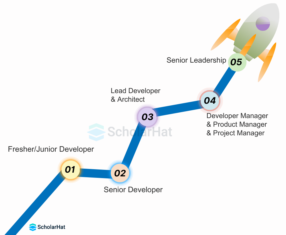 Career Path for a .NET Developer
