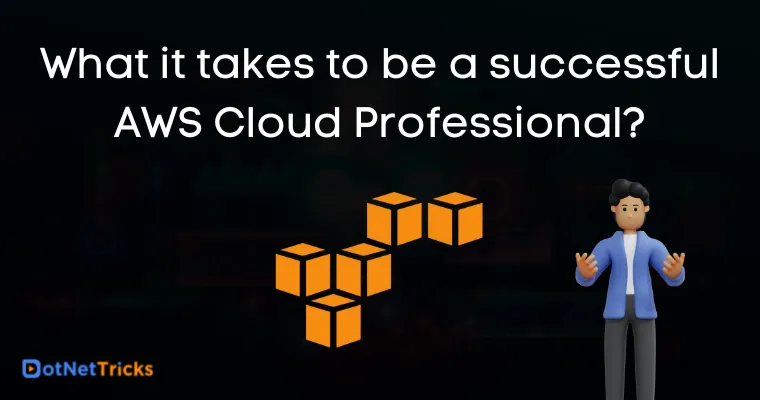 What it takes to be a successful AWS Cloud Professional?