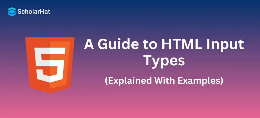 A Guide to HTML Input Types with Examples