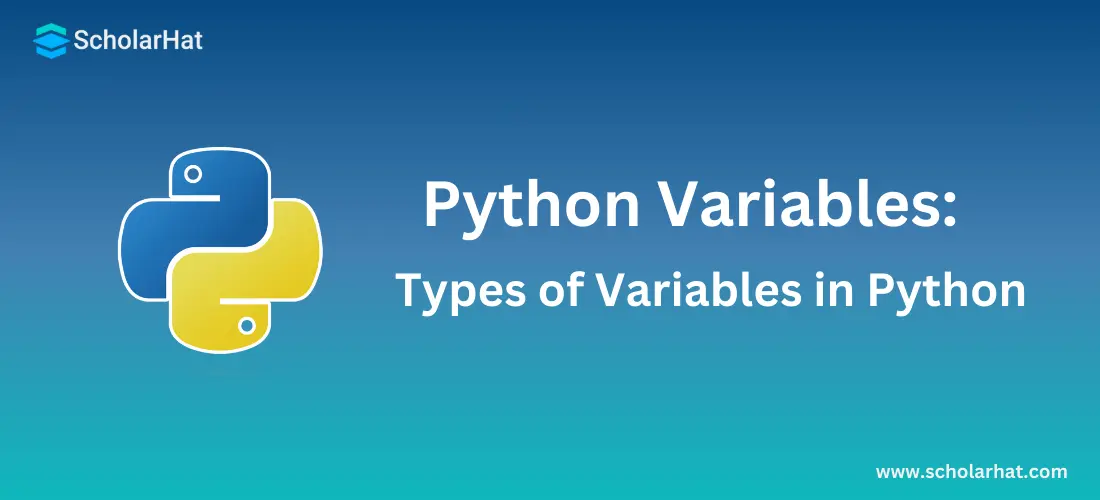 What are Python Variables - Types of Variables in Python Language 