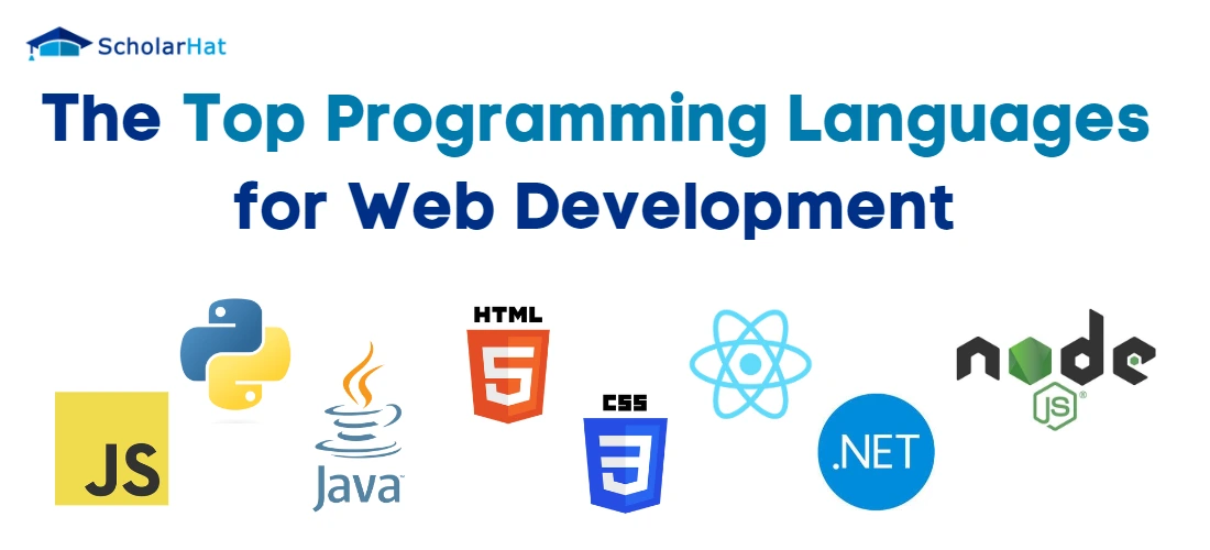 The Top Programming Languages for Web Development