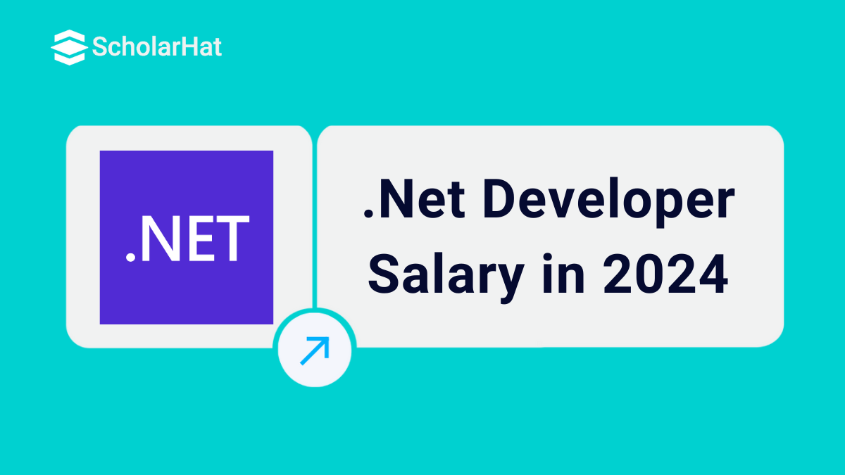 .Net Developer Salary in 2024