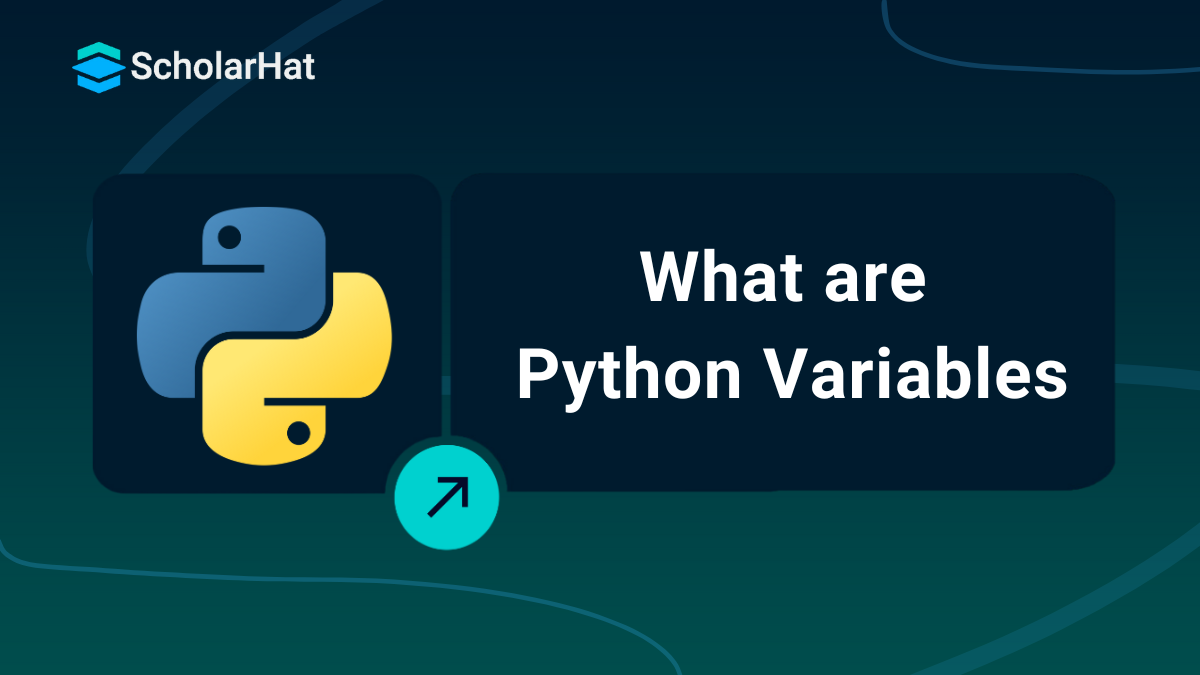 What are Python Variables - Types of Variables in Python Language 