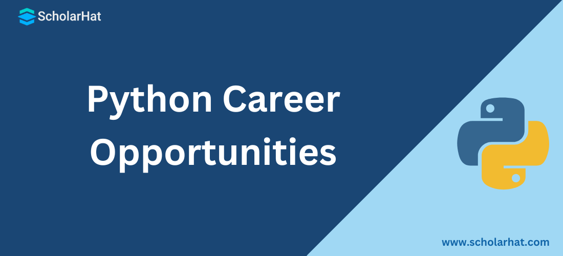 Python Career Opportunities: Is it worth learning Python in 2024?