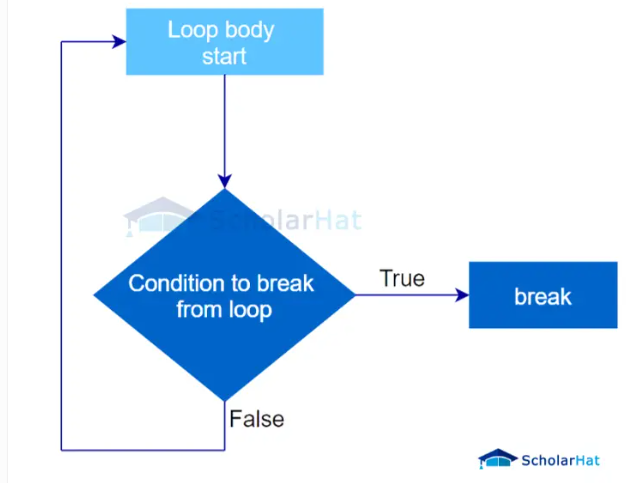 Break statement in a loop in C
