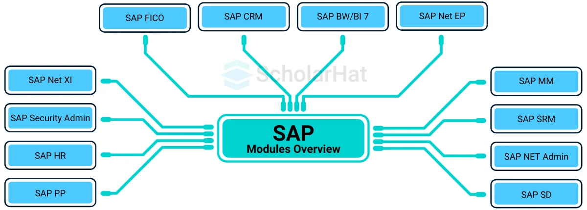 Can you describe your experience with SAP modules?