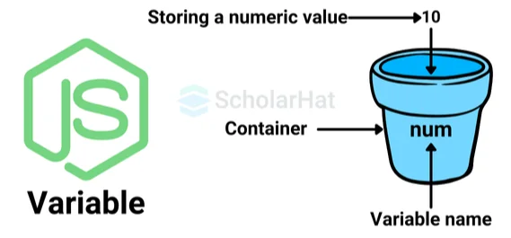 Variables in JavaScript