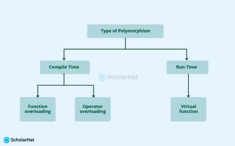 Polymorphism