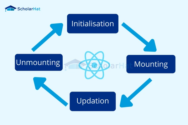 What stages does the lifecycle of a React component go through?
