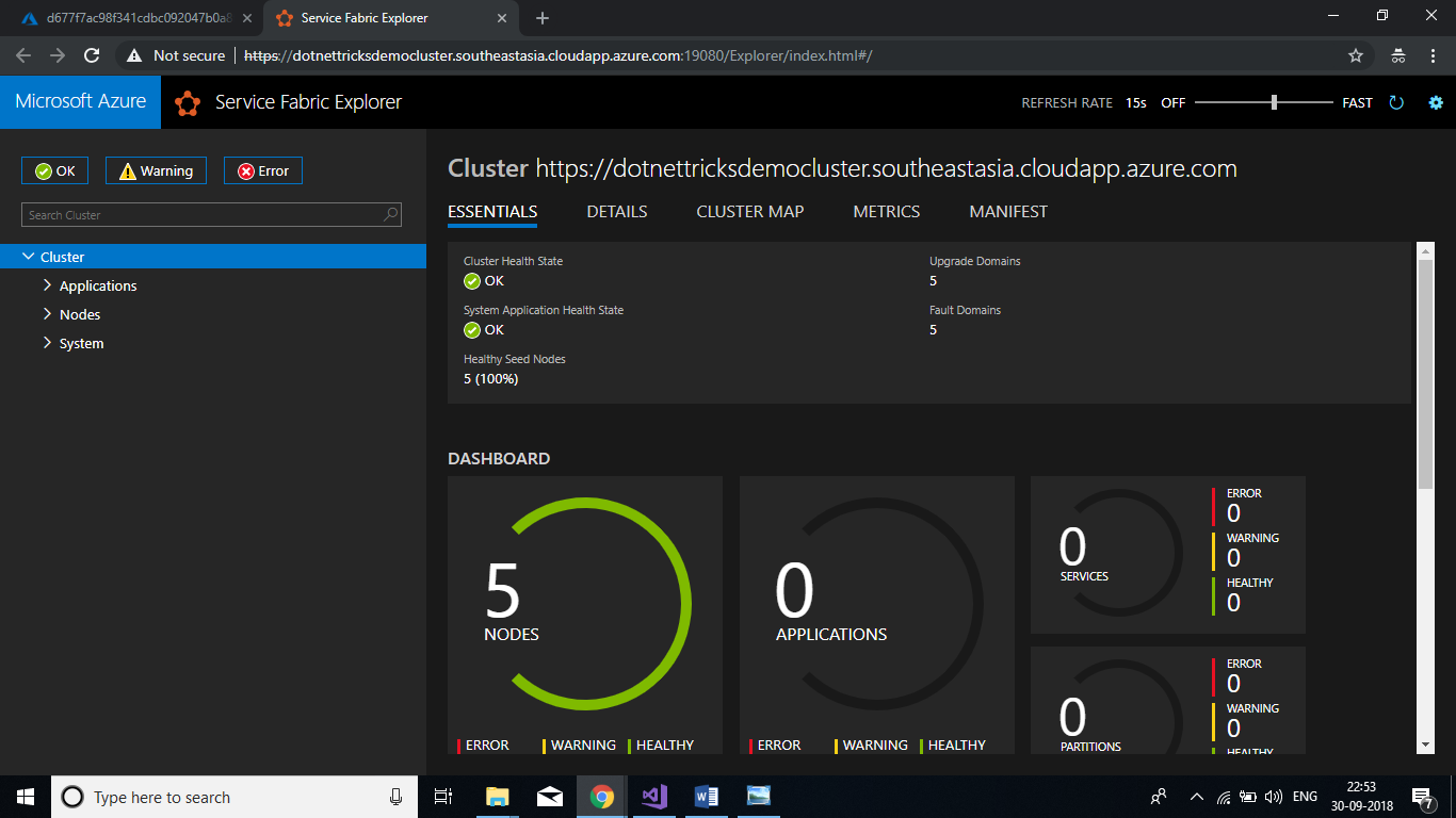 Connect to the cluster using Service Fabric Explorer